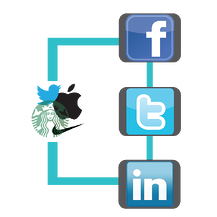 branding and social media